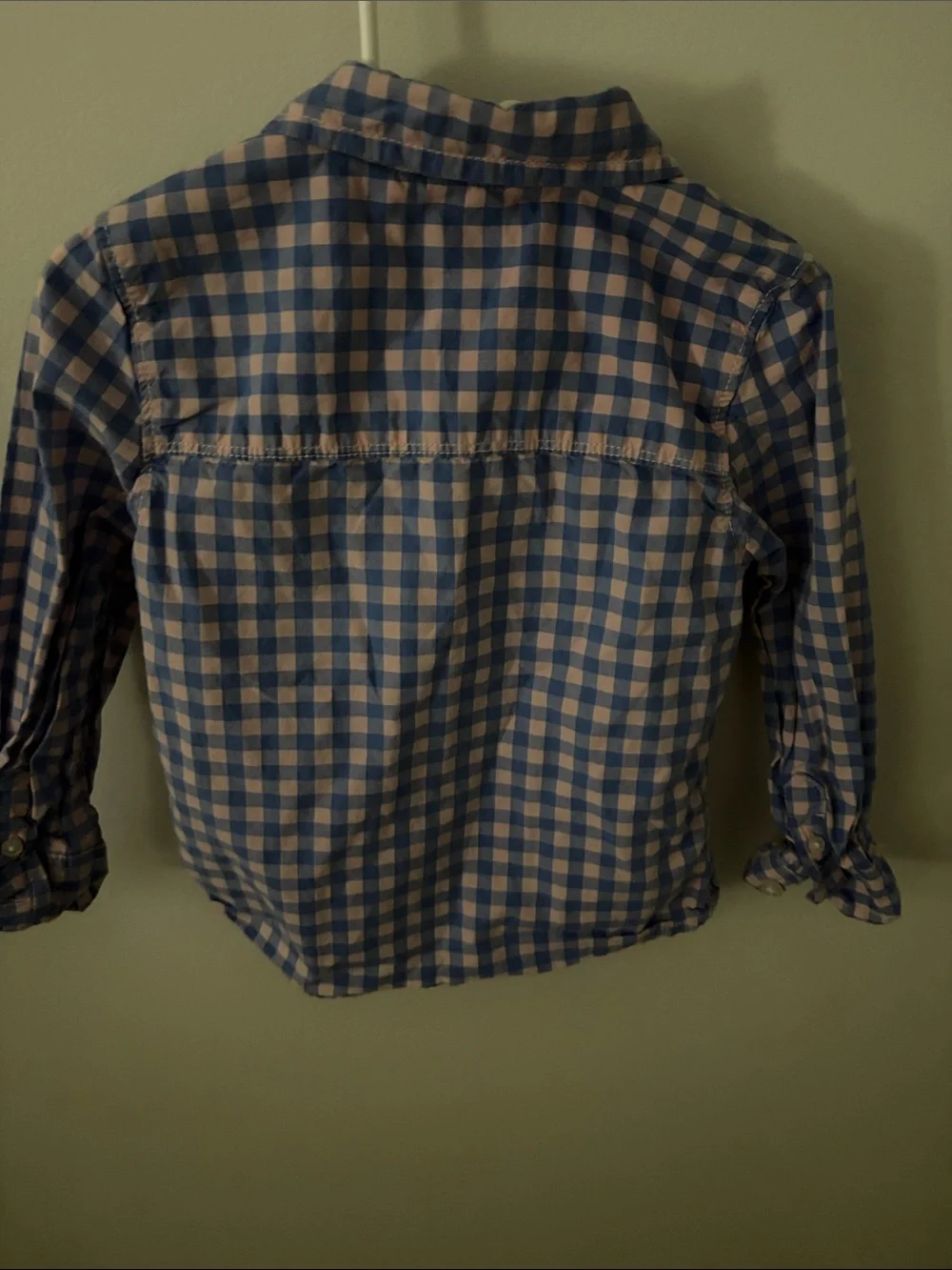 OshKosh B'gosh Blue and White Gingham Button-Down Shirt